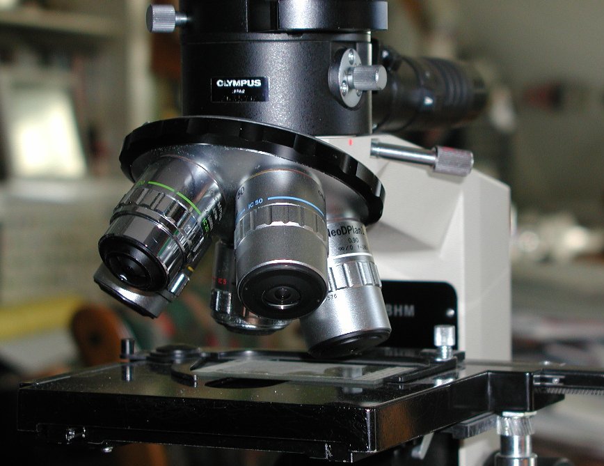 THE OLYMPUS BH-2 MICROSCOPES